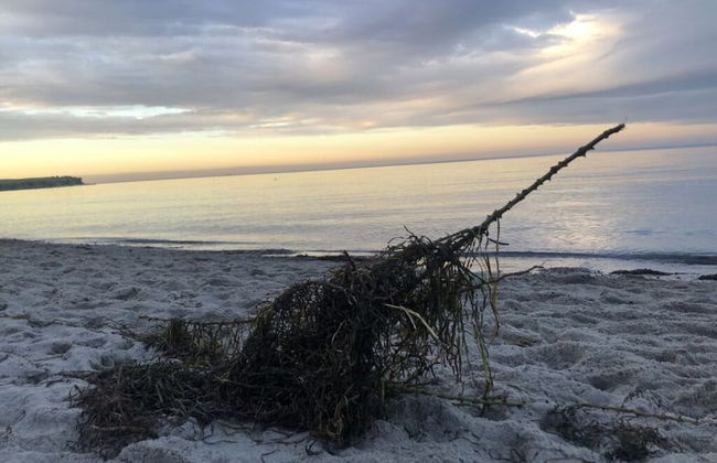 Holiday Home Friedchen - Photo 27