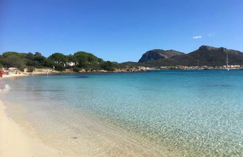 Appartamento Libeccio a 300m dalla spiaggia - Foto 31