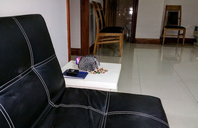 Modern London Decor Guest Apartments - Foto 14