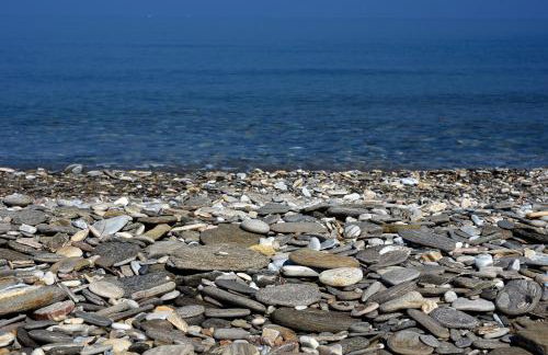 Endless green 1 Arethousa Ikaria - Photo 27