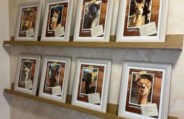 Rottal-AlpakaLodge Zeit zu Zweit im Grünen - Foto 39