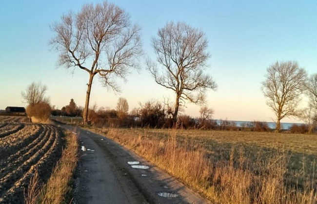 5 Person Holiday Home in Millinge - Foto 17