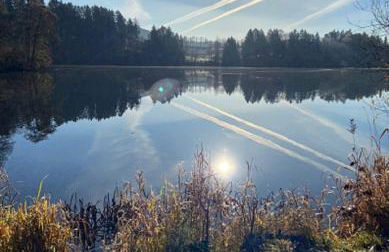 Traumblick Bayerischer Wald, Pool & Sauna, Getränke, Klimaanlage - Foto 28