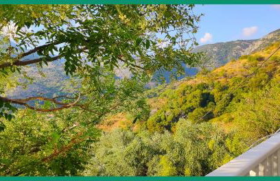 Kampos View Ikaria - Photo 25