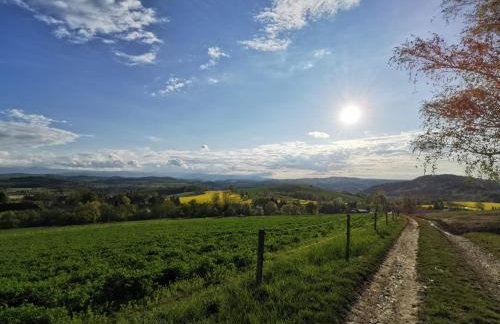 Apartament Strzyżowiec 80 - Foto 48