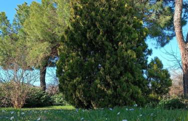 Capricornio Club diffuso Casa Carlotta - Foto 40