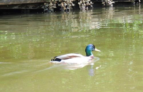 Ferienwohnung Smiley - Foto 16