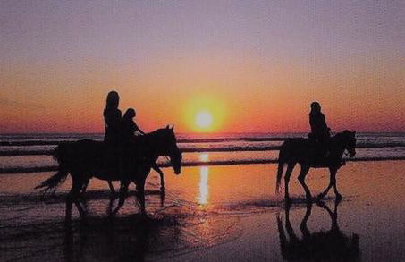 Ferienwohnung mit Terrasse - Insel Usedom - Foto 40