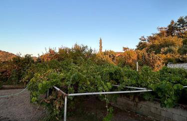 Ambelos, Lesvos Beach House - Foto 39