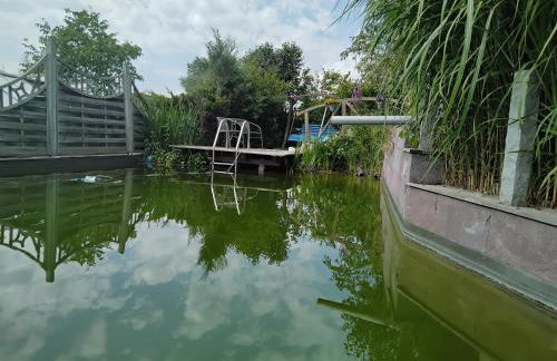 Zuhause in Hofs ,Leutkirch im Allgäu - Foto 1