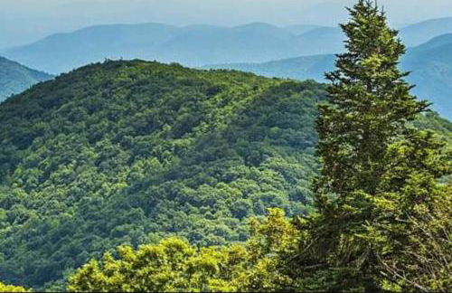 Peaceful Modern Chalet in Ellijay - Foto 39