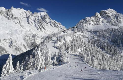 La maison des Guides - trilocale a 500 mt dalle piste di Dolonne - Foto 53