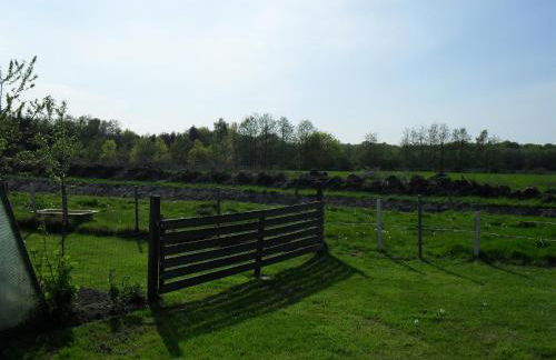 Ferienhof Schlachter - Foto 29