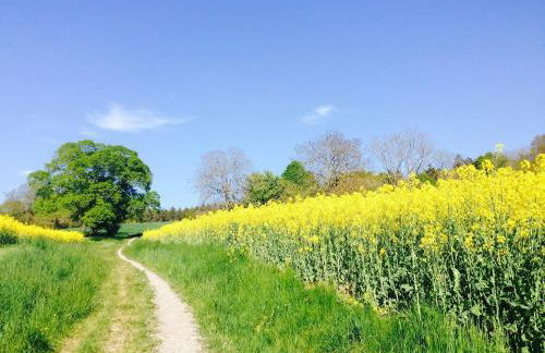 Sehr beliebt! Ferienhaus zur Donau - Foto 41