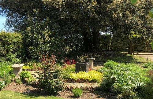 Kitty's Loft - Foto 9