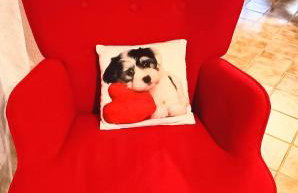 Sea view house II - Foto 9