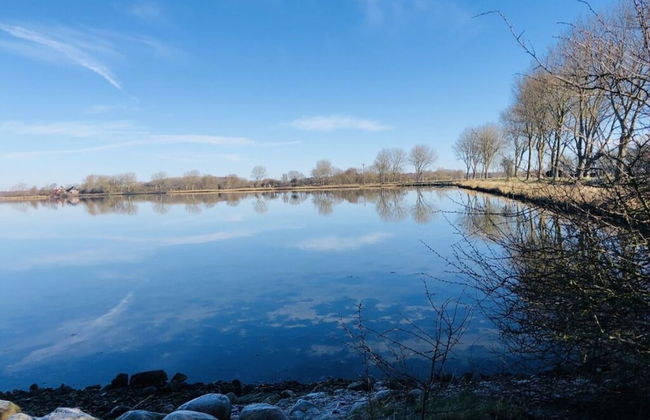 Huus Schippe "collund" - Foto 5