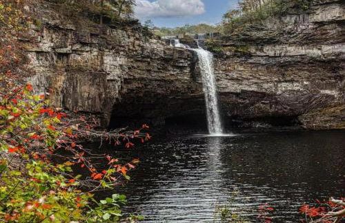 2 Homes Mentone Getaway - Riverfront & Near Parks - Foto 49