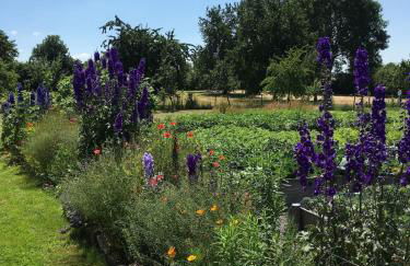 Ferienwohnung auf idyllischer Hofanlage in Lippe - Foto 31