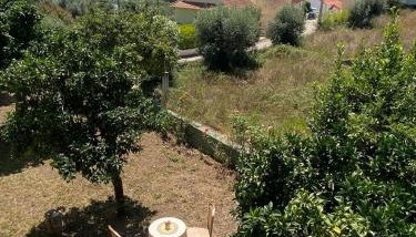 Quinta José&Maria Casa de Férias Ferreira do Zêzere - Foto 2