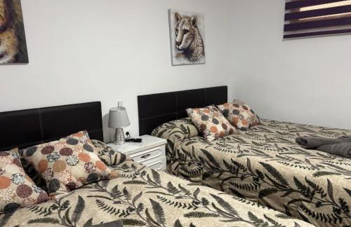 Alojamientos Capri - Foto 2