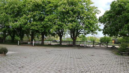 Krügerhof Lübbersdorf - Foto 3, Garden