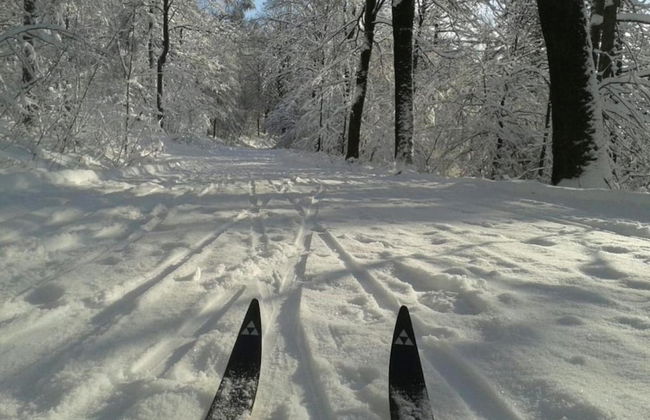 Wohnung in Silbecke mit Garten - Photo 24