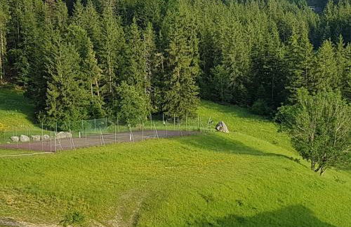 STUDIO CHALEUREUX aux pieds des pistes de ski des Glovettes - Foto 29