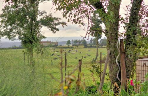 Gîte Authentique avec Internet Très Haut Débit à Amions-Vézelin - FR-1-496-226 - Foto 29