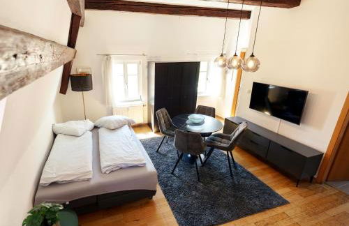 Regensburger Ferienwohnungen - Im Herzen der Altstadt - Foto 79