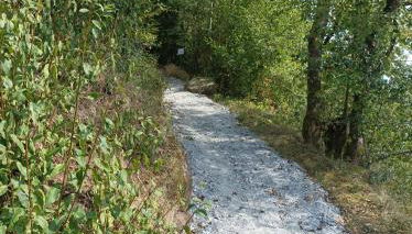 Burgberg Schöllnstein - Foto 5