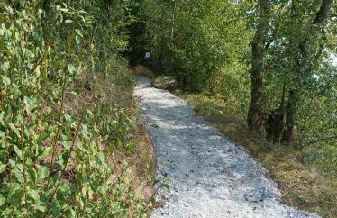 Burgberg Schöllnstein - Foto 5