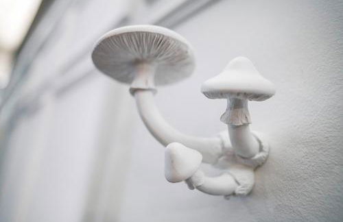 JS-Balingen - Foto 54