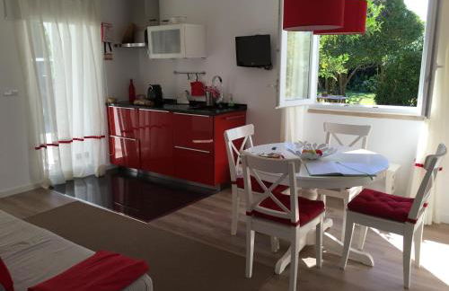 Horta dos Cedros - Foto 9