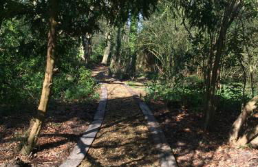 Chez Marguerite Shepherd's Hut with Private Sauna, Outside Bath - Photo 19