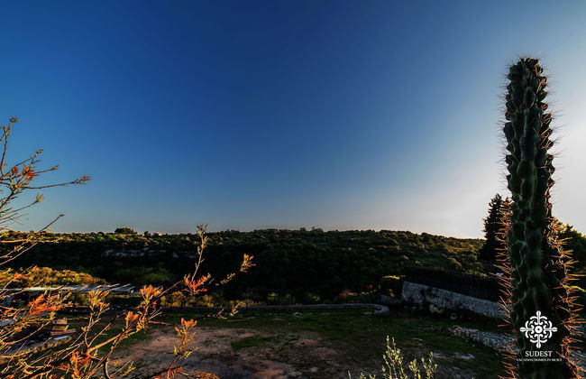 Villa Clara - Country Retreat - Foto 47