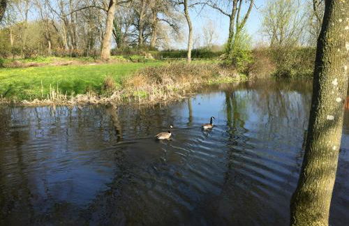 Gutshof Rothensande - Foto 31