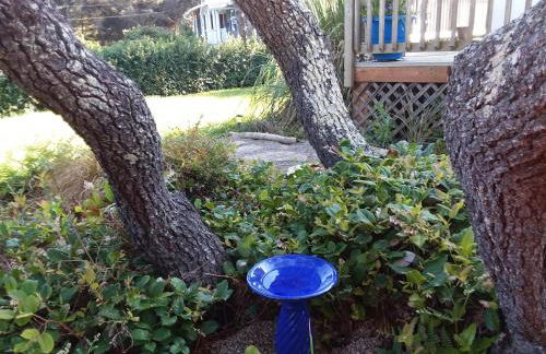 Driftwood Cottage - Foto 19