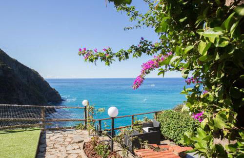 5 Terre For You - Foto 19