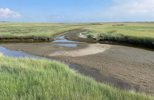 Ferienhaus Immerlicht Norddeich S-H - Foto 39