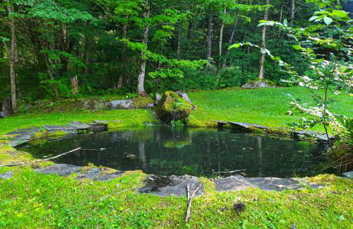 Valkyrie Run - Photo 4