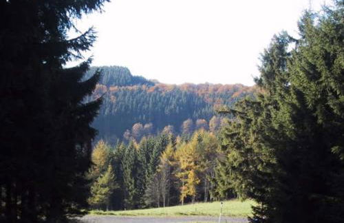 ERDGESCHOSS WOHNUNG BIS 10 PERSONEN ZENTRUM WINTERBERG - Foto 38