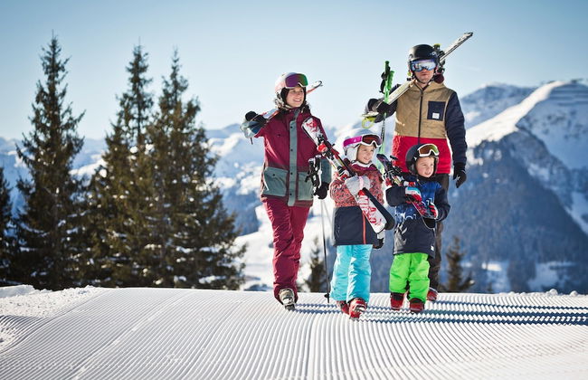 Beautiful Apartment in Viehhofen With hot tub - Foto 22