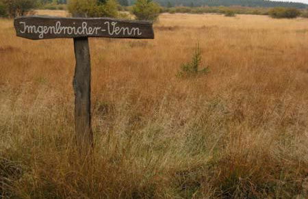 Ferienwohnung-Mediterran - Photo 24