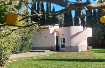 Casita Higo - Foto 3