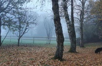 Demeure du Haut Canteloup - Foto 41