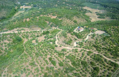 Complejo Rural Mirador de la Alcaidía - Foto 11