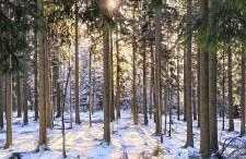Ferienwohnung Am Brunnen und an der Fulda - Foto 43