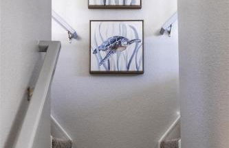 Blue Pacific - Foto 13