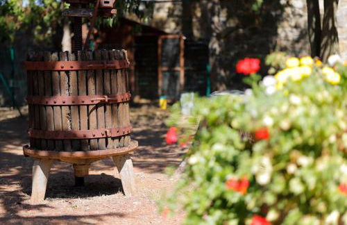 Agriturismo Villa Guarnaschelli - Foto 44